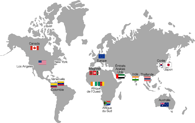 Distribution Network Doregrill